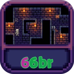 66br