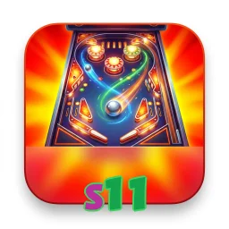 s11